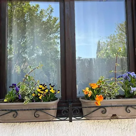 Apartman Lovely With Beautiful View And Parking *